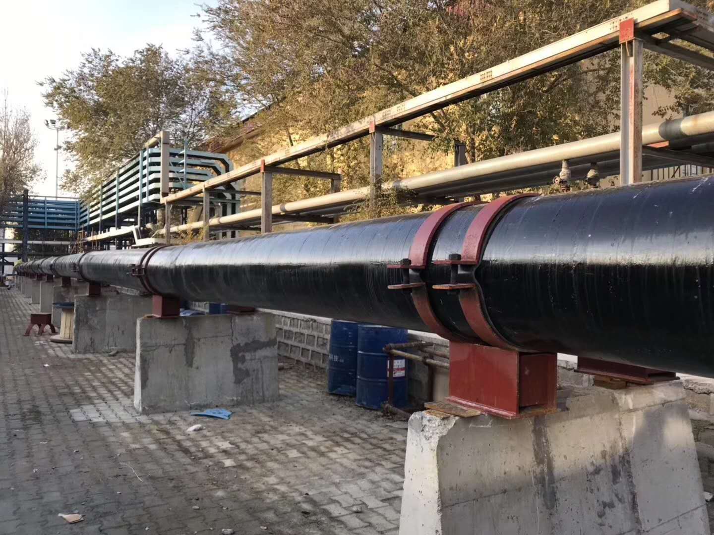 红杏在线免费视频管哪家好